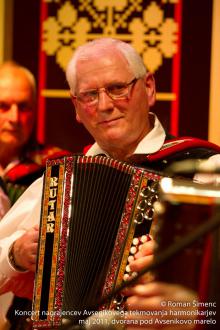 Dobrodelni koncert pri Avseniku