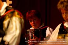 Dobrodelni koncert pri Avseniku