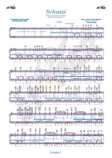 Poučevanje diatonične harmonike STOPAR